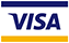 Visa Delta payment option image